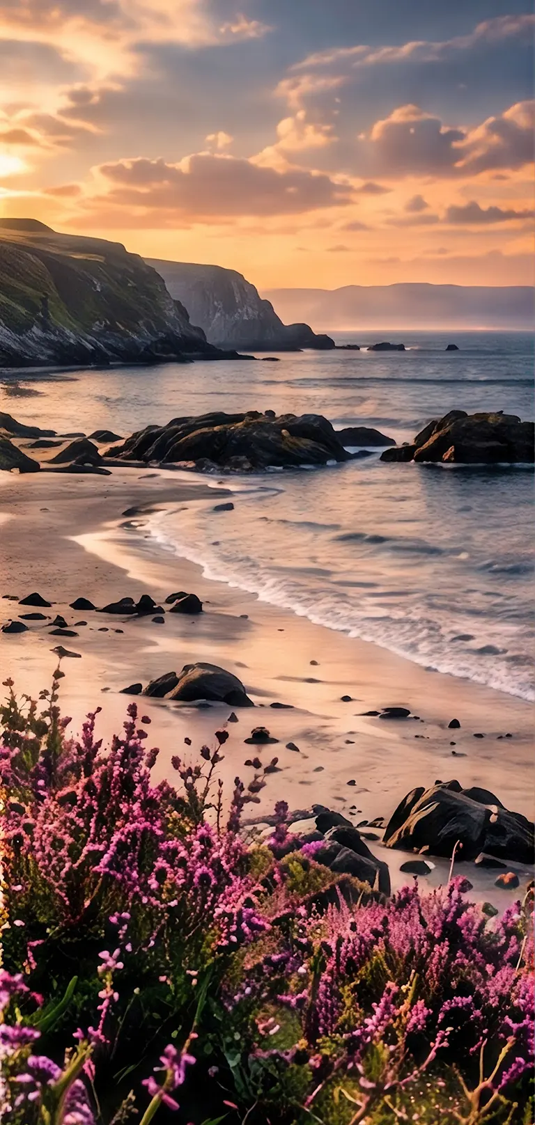 Sunset over rocky beach with blooming flowers.